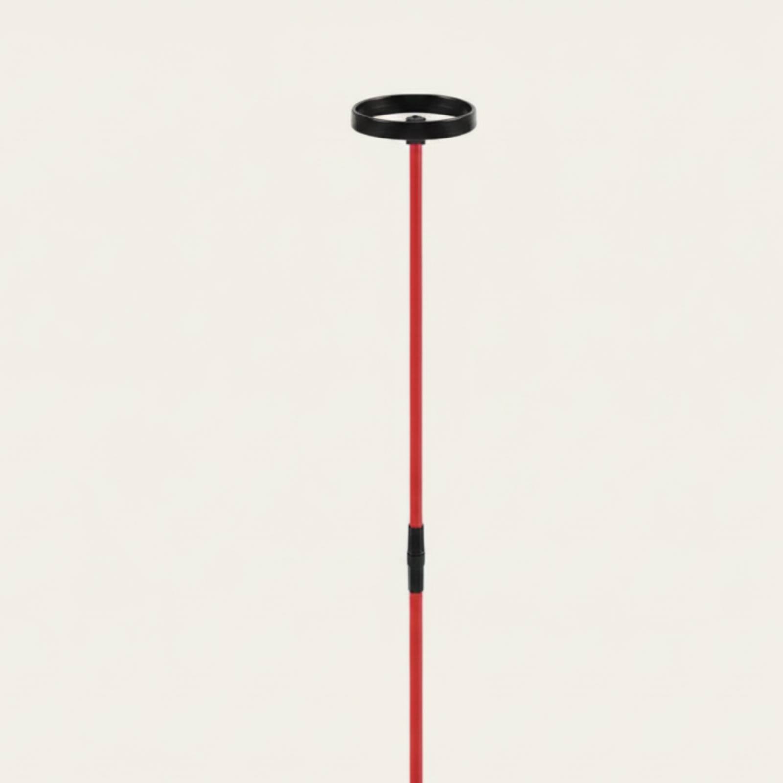Golf Training Aid with Head St - Training Aid Swing 评论和价格